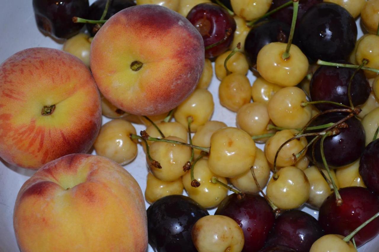 דיליג'אן Sweet Home מראה חיצוני תמונה