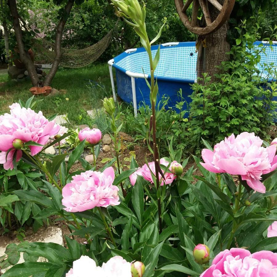 דיליג'אן Sweet Home מראה חיצוני תמונה